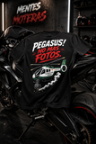 PEGASUS