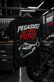 PEGASUS